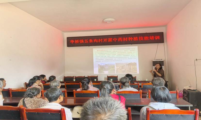 33E6F86A8164FDB4BC979770274EEA04